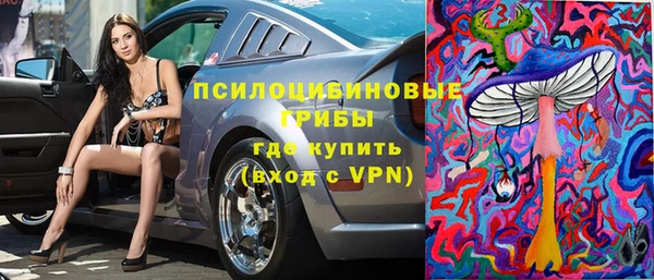 молекула духа Балахна