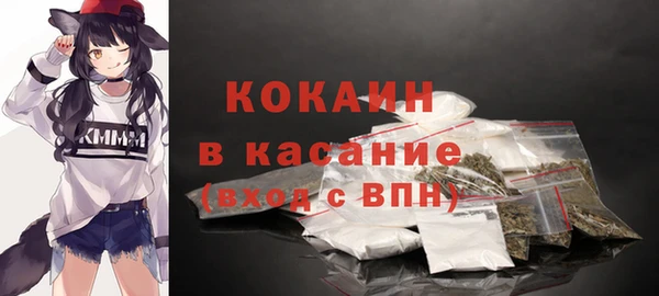шишки Баксан