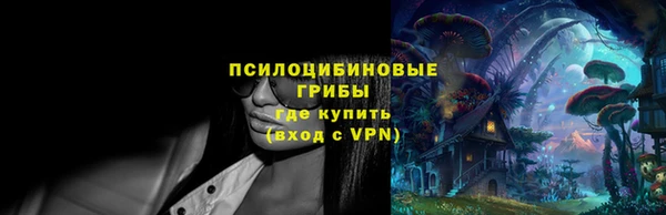 шишки Баксан