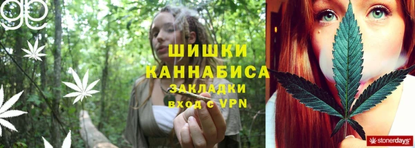 молекула духа Балахна