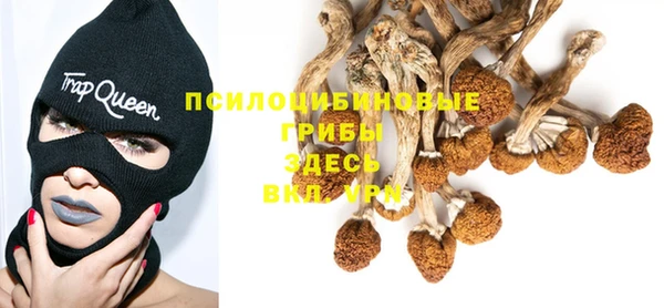 шишки Баксан