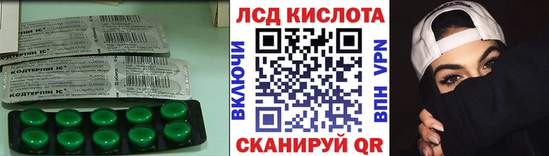 магазин  наркотиков  Новосокольники  Лсд 25 экстази кислота 